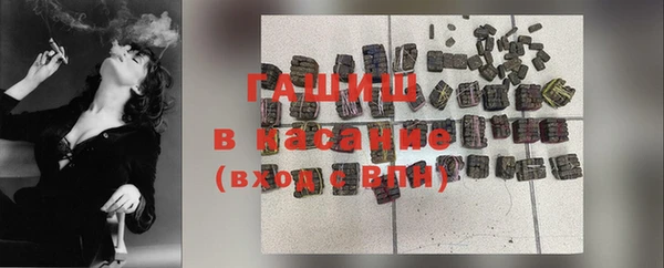 2c-b Инсар