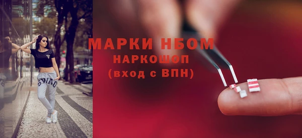 2c-b Инсар