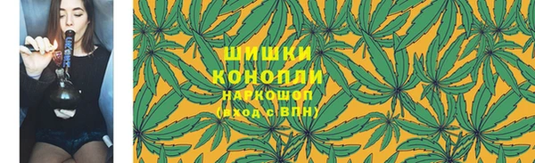 2c-b Инсар