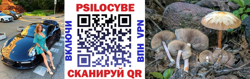Купить  Зеленодольск  Псилоцибиновые грибы GOLDEN TEACHER 